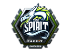 Team Spirit (Foil) | Stockholm 2021 image